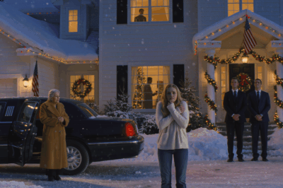 It Was Well Below Freezing On Christmas Eve When My Dad Told Me To “Cool Off Outside For A While” After I Talked Back At Dinner. I Stood On The Front Step, Breath Visible In The Air, Watching My Family Open Presents Through The Window Like I Wasn’t Even Part Of Them. An Hour Later, A Black Limo Pulled Up In Front Of Our House. My Billionaire Grandmother Stepped Out, Saw Me Shivering On The Porch, Looked Past Me At The Living Room Full Of Laughter, Then Turned To Her Driver And Said One Word: