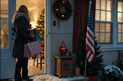 I Spent Days Preparing Decorations, Catering, And Daily Necessities For Christmas With My Family At My Lakeside Cottage. But When I Arrived, The Door Chain Was Locked And My Sister Said, ‘Don’t Make A Scene. You Know.’ I Could Hear My Parents Laughing Behind Her. So I Had No Choice BUT TO …